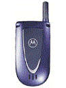Best available price of Motorola V66i in Mozambique